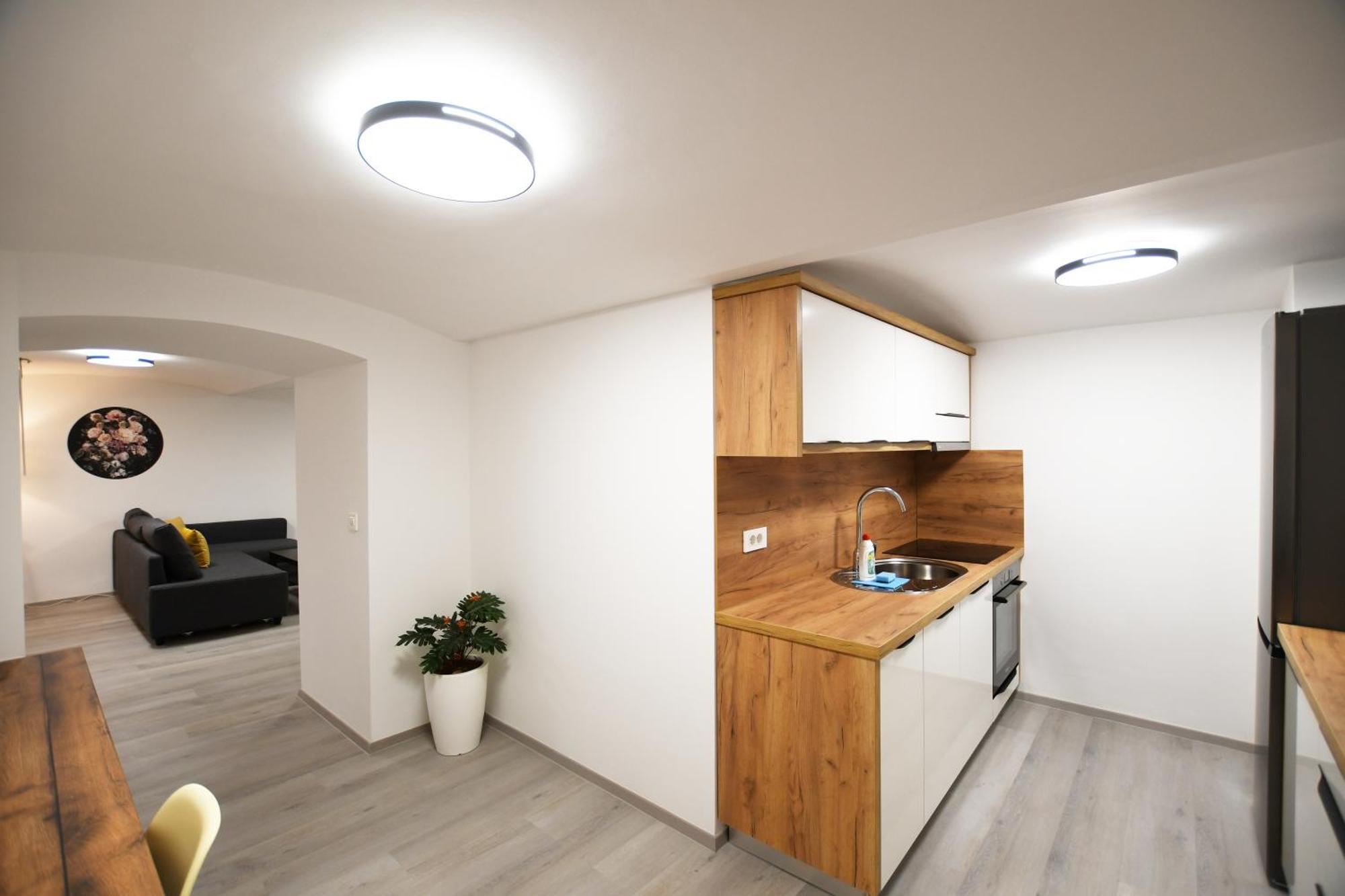 The Maze Apartment Ljubljana Dış mekan fotoğraf